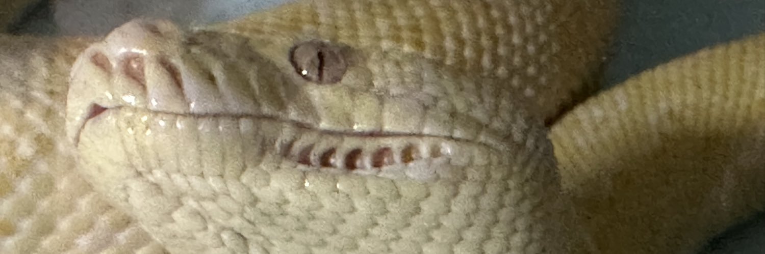 ⚫カイリ🟠 蛇好き banner