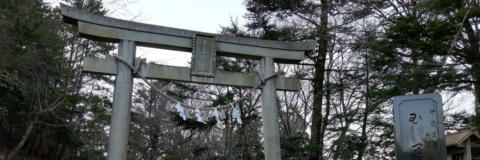 🎌 ßåmßðð þïg 🎌🌼🎶アザミ🎶🌼 banner