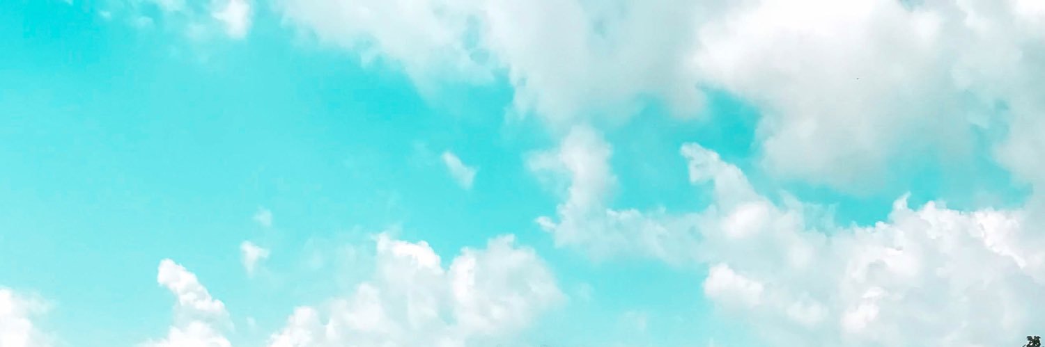 alannahstaver's profile banner image