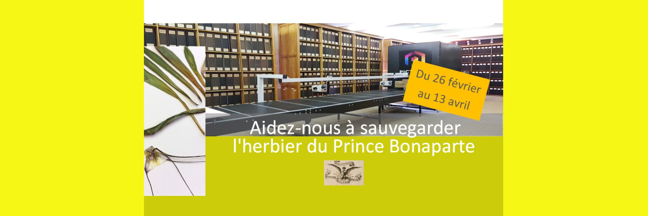 Herbier UCBLyon1 banner