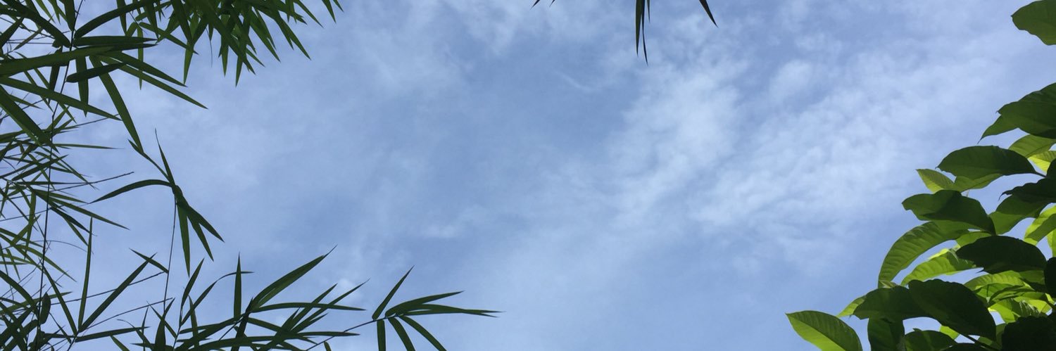 Lisnaadwi's profile banner image