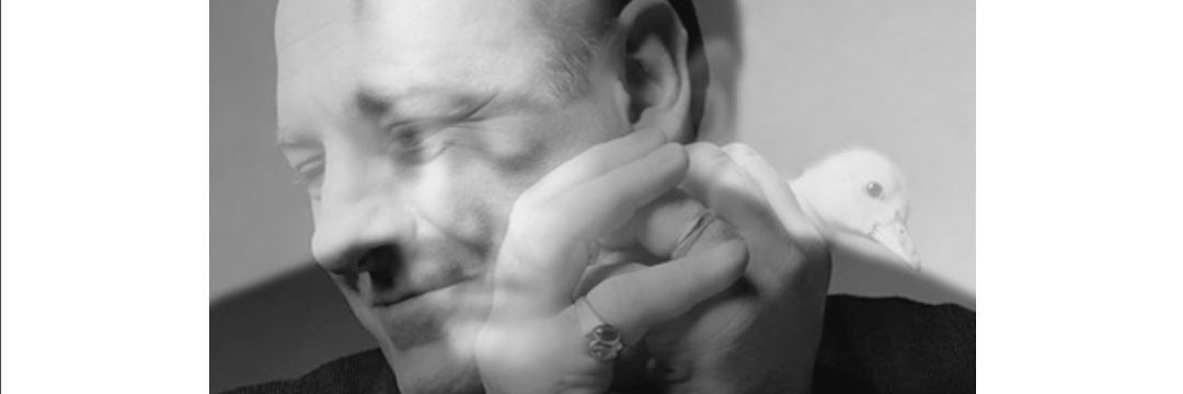 steviewoodz's profile banner image