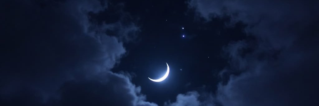 Nika_yuyan's profile banner image