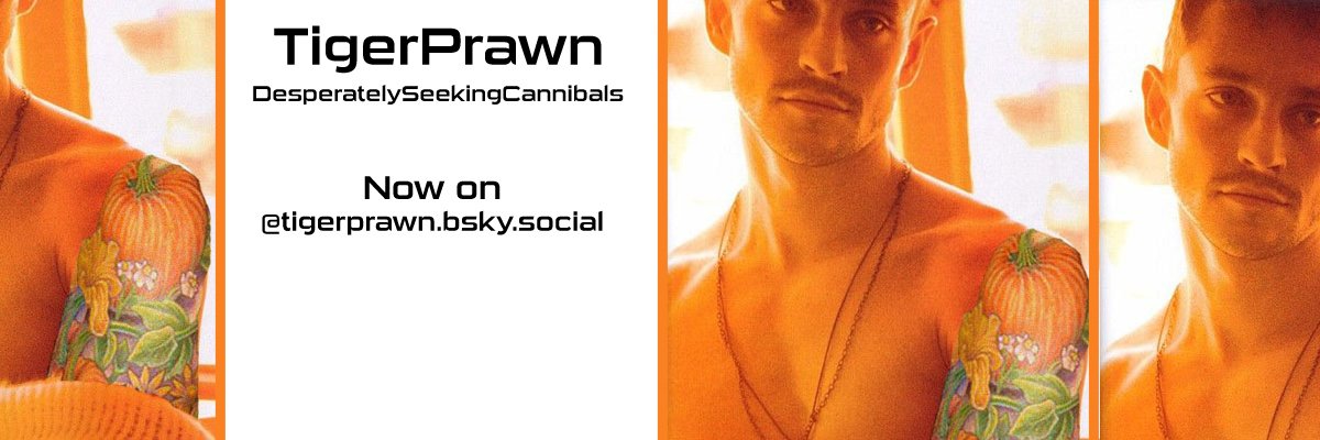 Find me @ tigerprawn.bsky.social banner