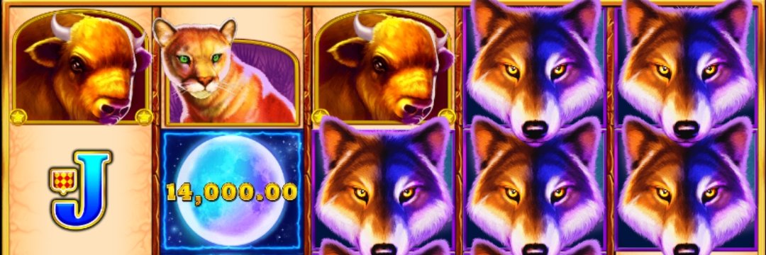 fiedandew's profile banner image
