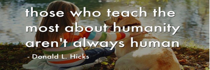 A Velvet Paw 🐾 🕉 ☮️ 🌱#FBPE banner