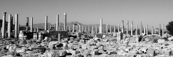 bashakalakha Profile Banner