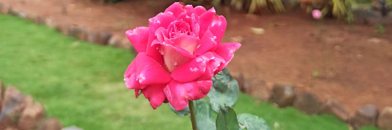 PoojaJainAL's profile banner image