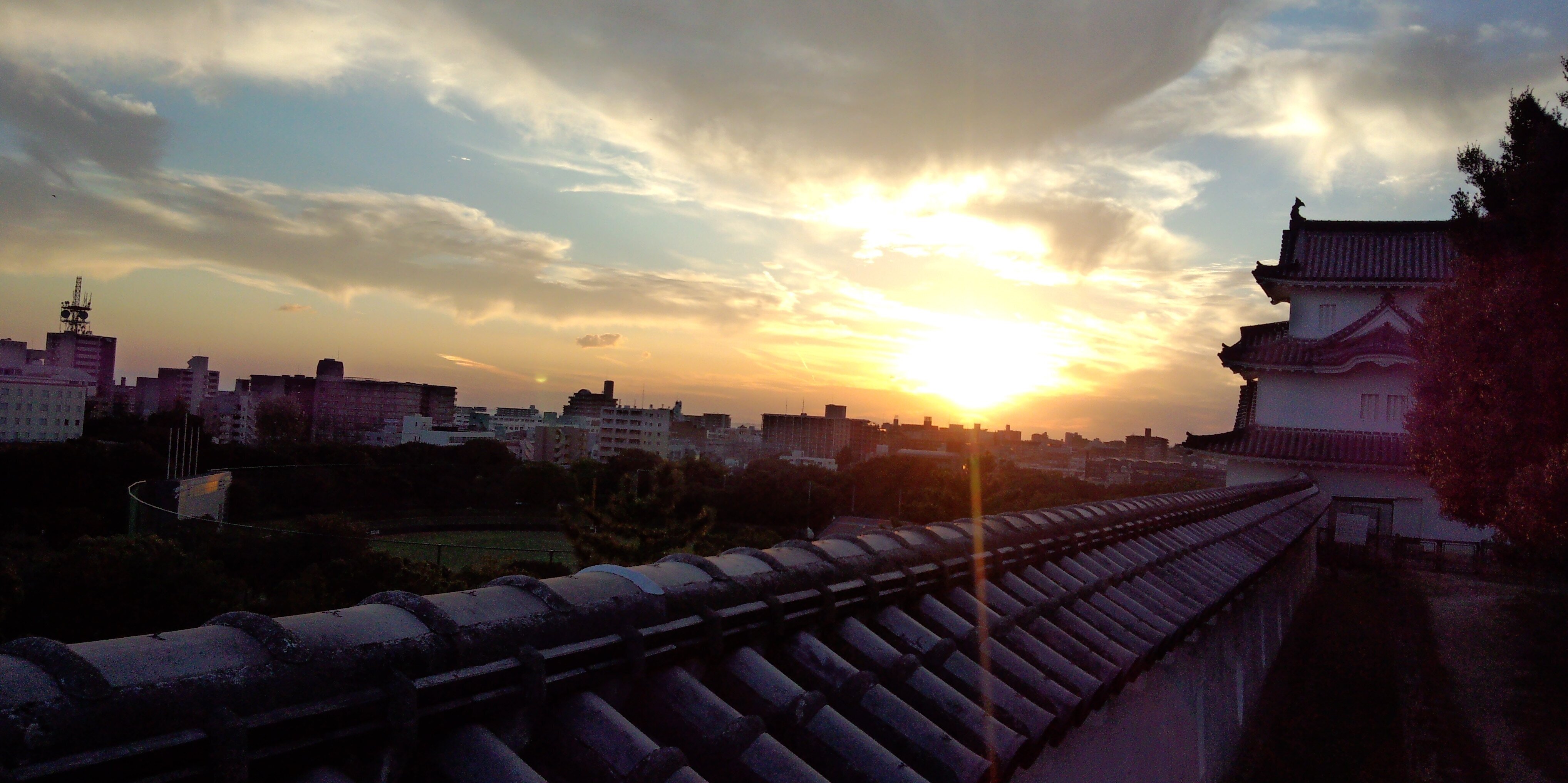 Womb23's profile banner image