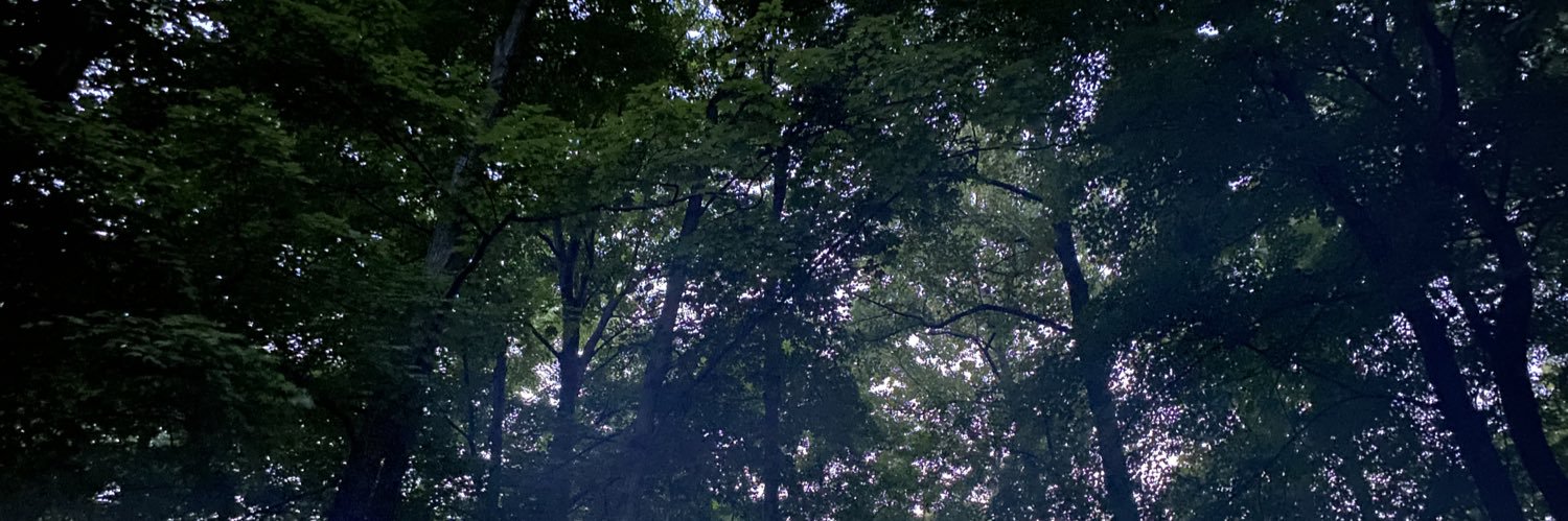 lukeuphere's profile banner image