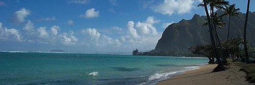 NKBA Aloha Chapter banner