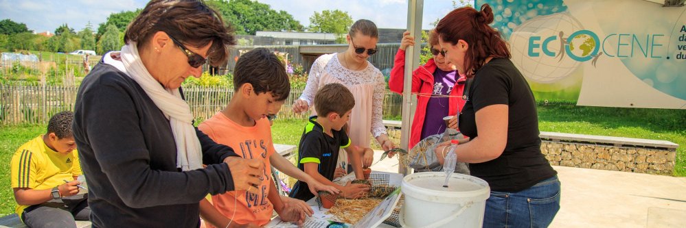 Ecocène banner