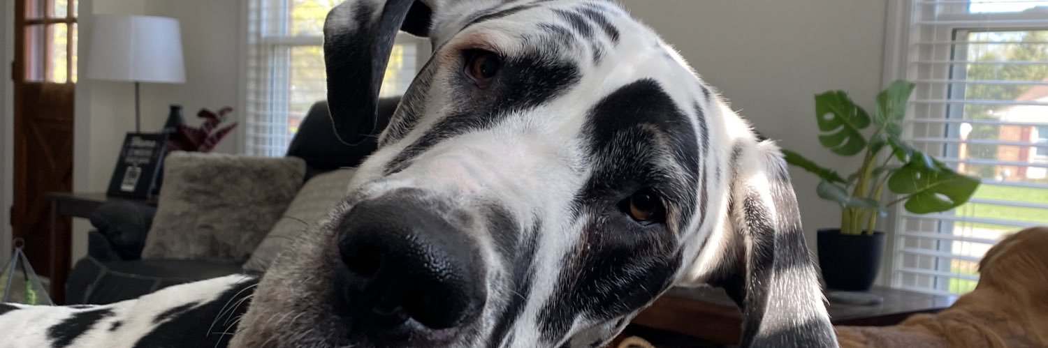 yoitsstella1_'s profile banner image