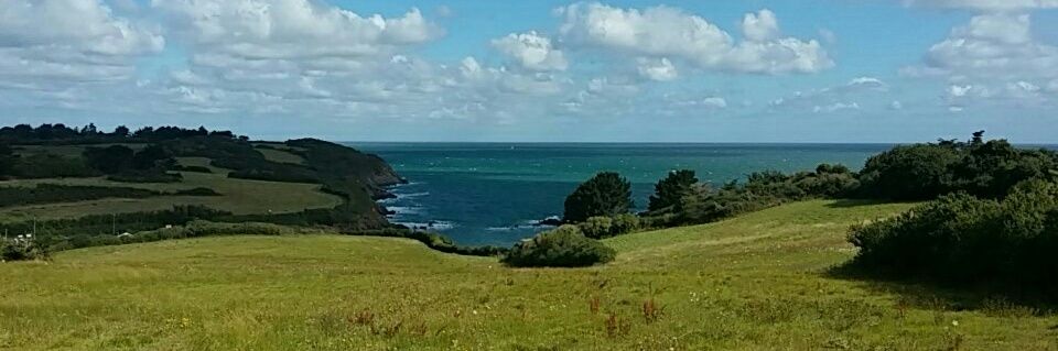 Théo Boscher banner