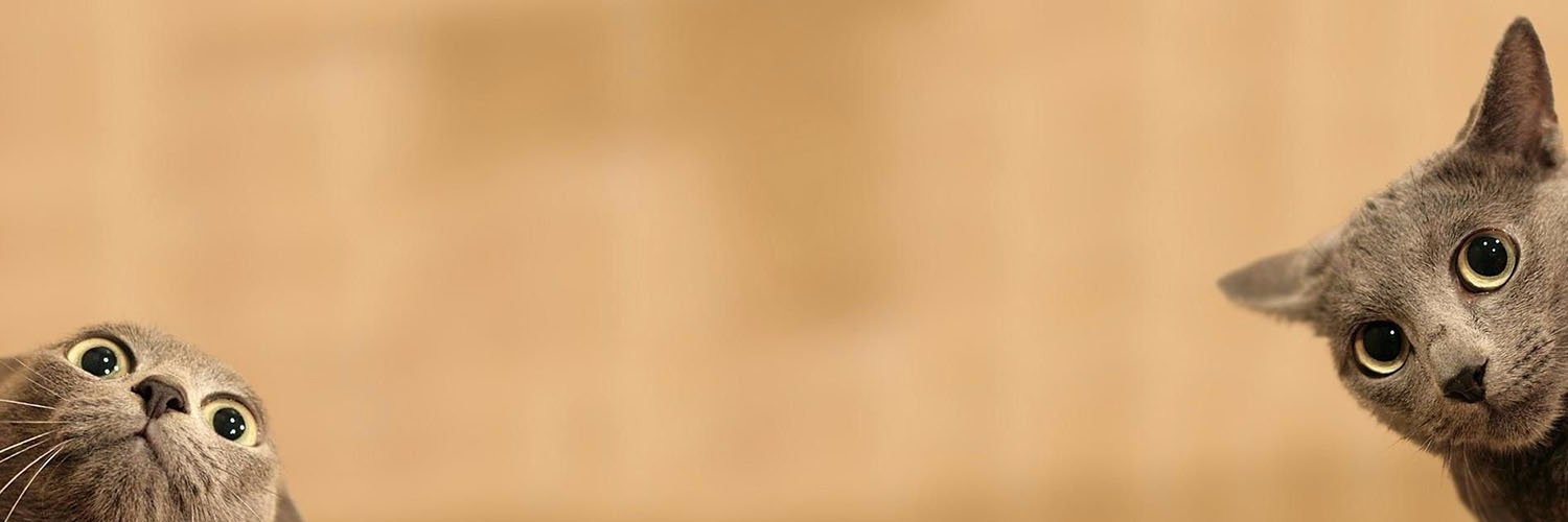 _Clems's profile banner image