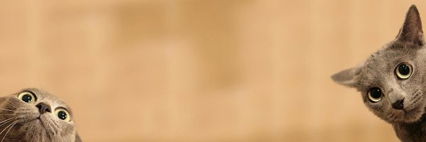 _Clems Profile Banner