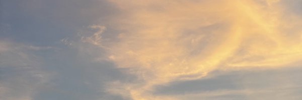 chubiee_ddong Profile Banner