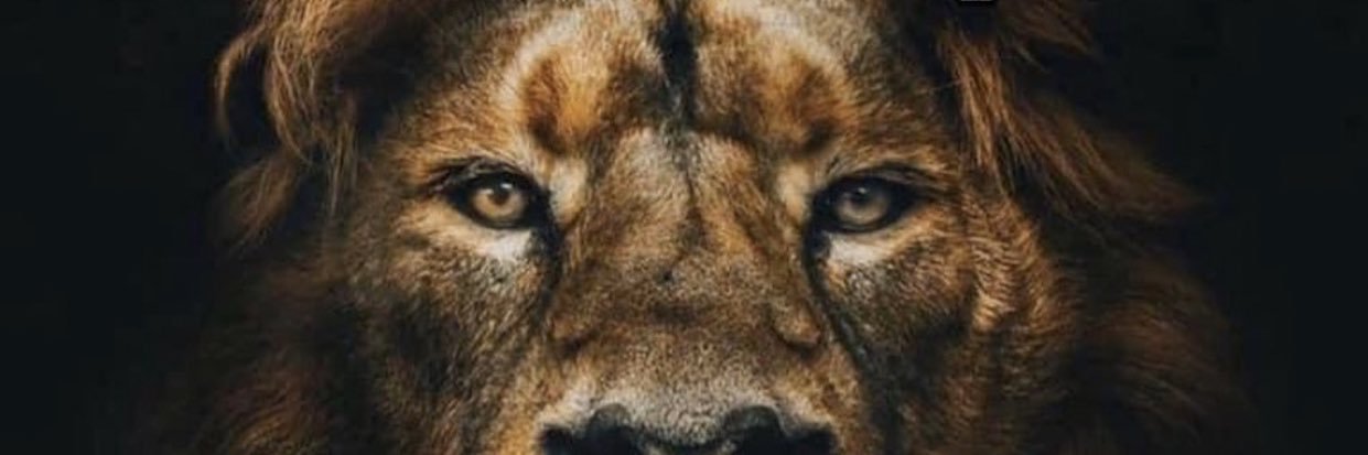 AHazaaaa's profile banner image