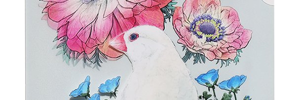 トリカラ堂🌟's banner