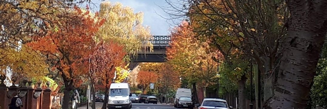 Jane Fletcher banner