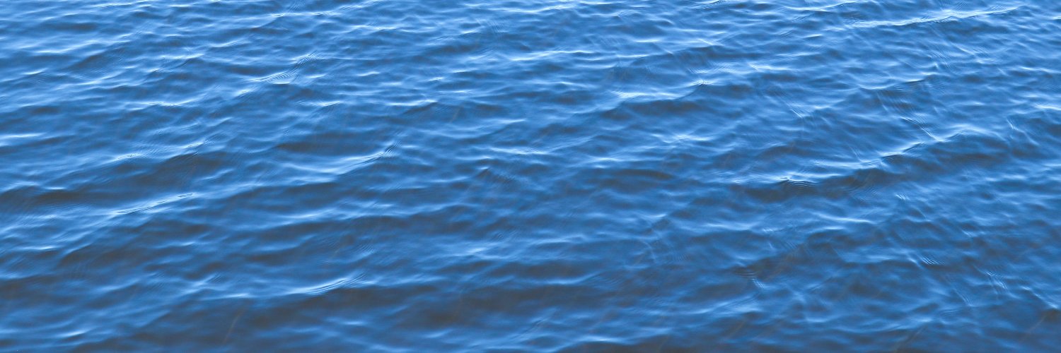 monica toner banner