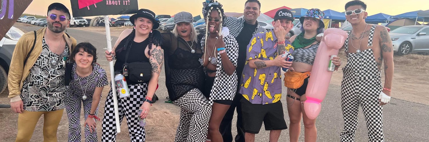 discodirtybird's profile banner image