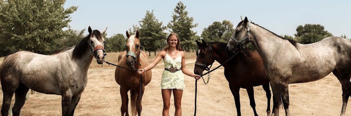 kenisa_meyer's profile banner image