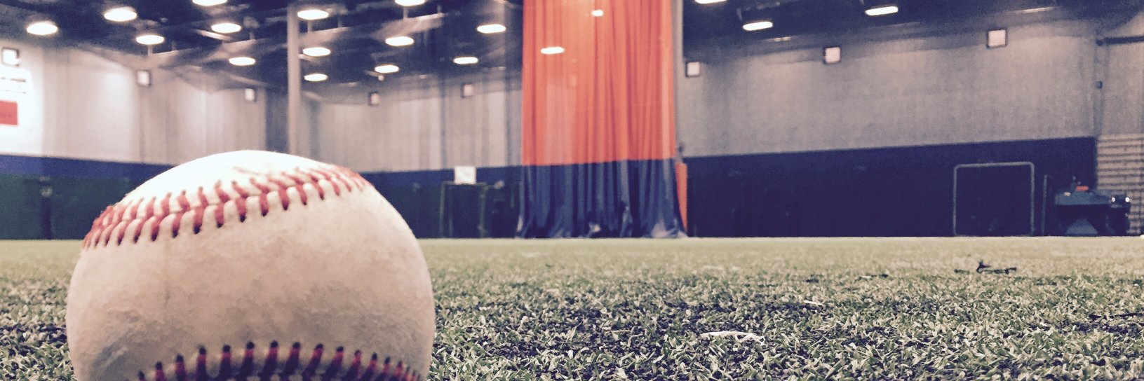 Baseball Institute banner