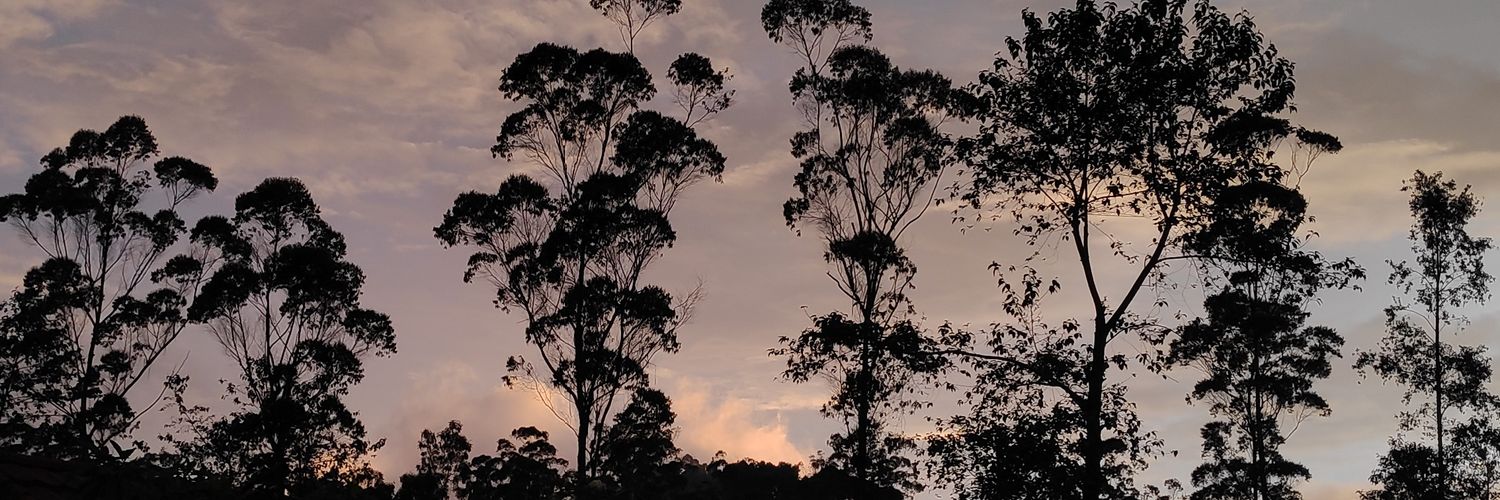 mayanafit's profile banner image