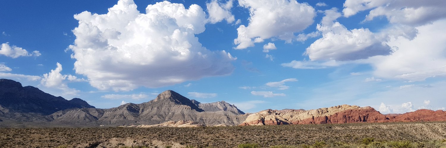 nianton's profile banner image