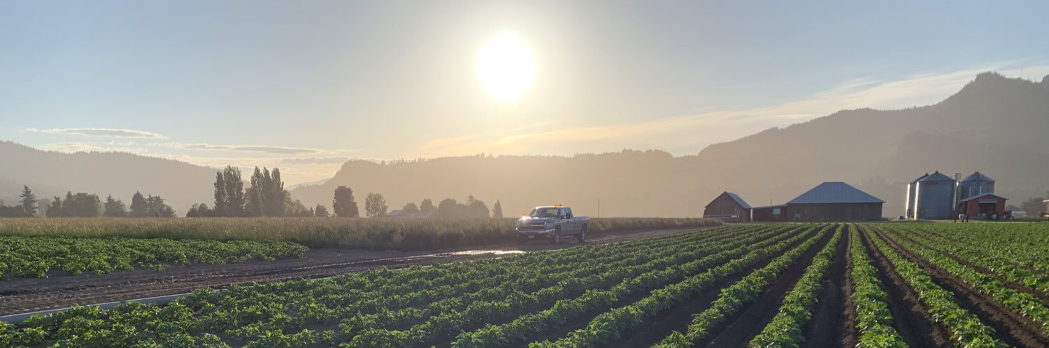 Darrin Morrison banner