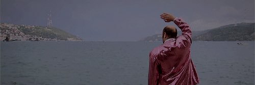 senacelikerr's profile banner image