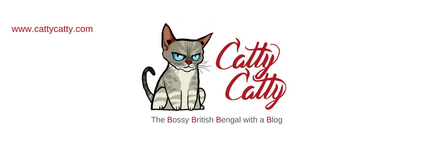 Catty Catty banner