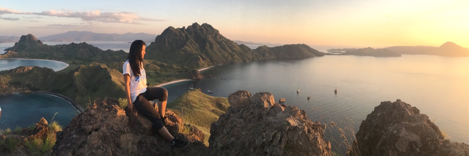 AdelineLinardi's profile banner image