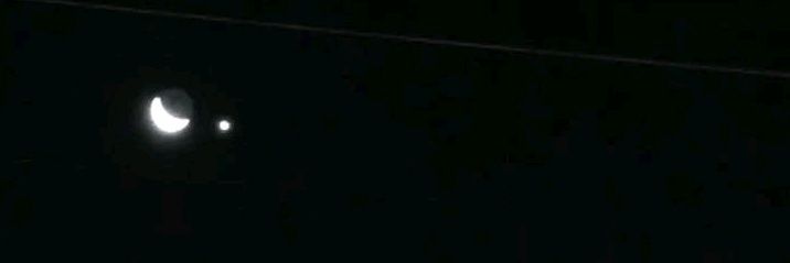 SiberLM's profile banner image