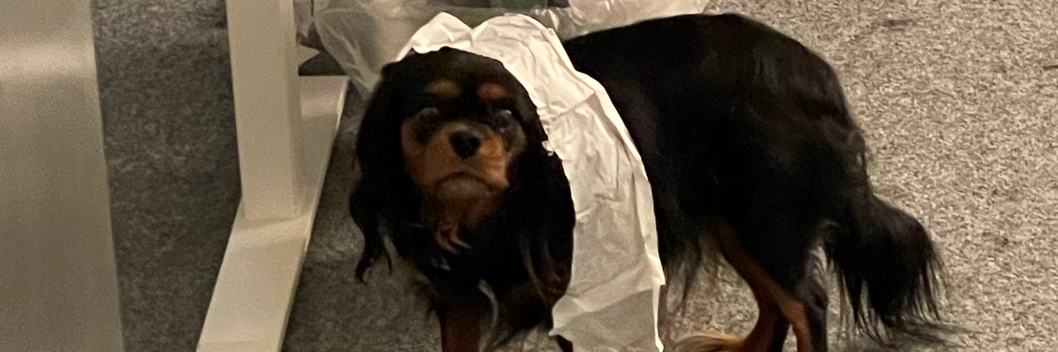 0FF1C3D0G's profile banner image
