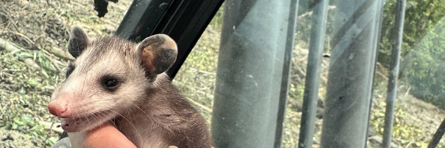 neon couyon ⚜️ banner