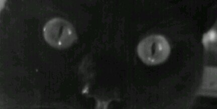 bugsxxx's profile banner image