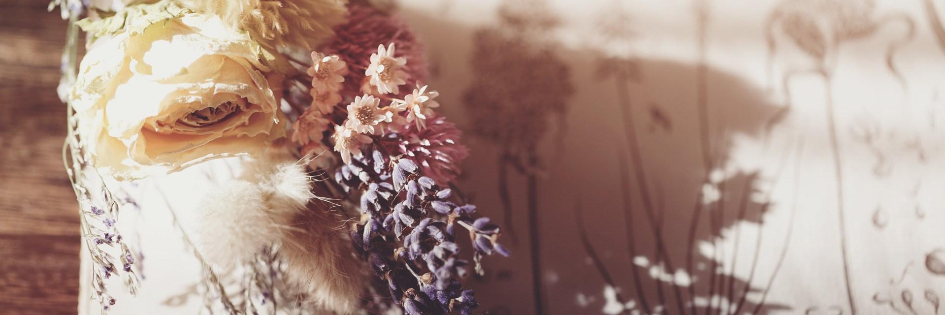 aquamensis's profile banner image