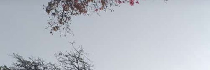 Hell.en~B♤lck.Rss banner