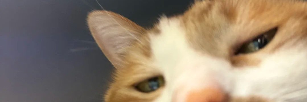 ndyyhsh's profile banner image