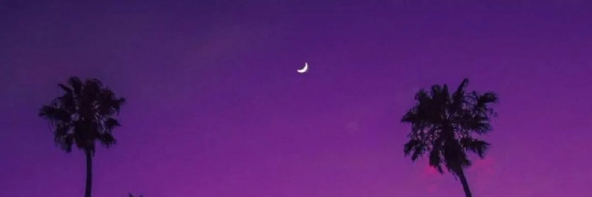 Melina banner