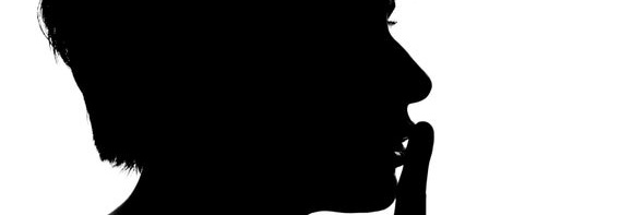slylizardau's profile banner image