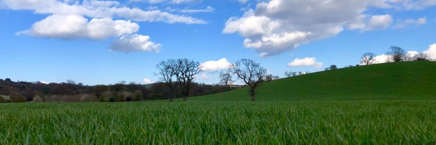 SEAN LOVEGREEN banner