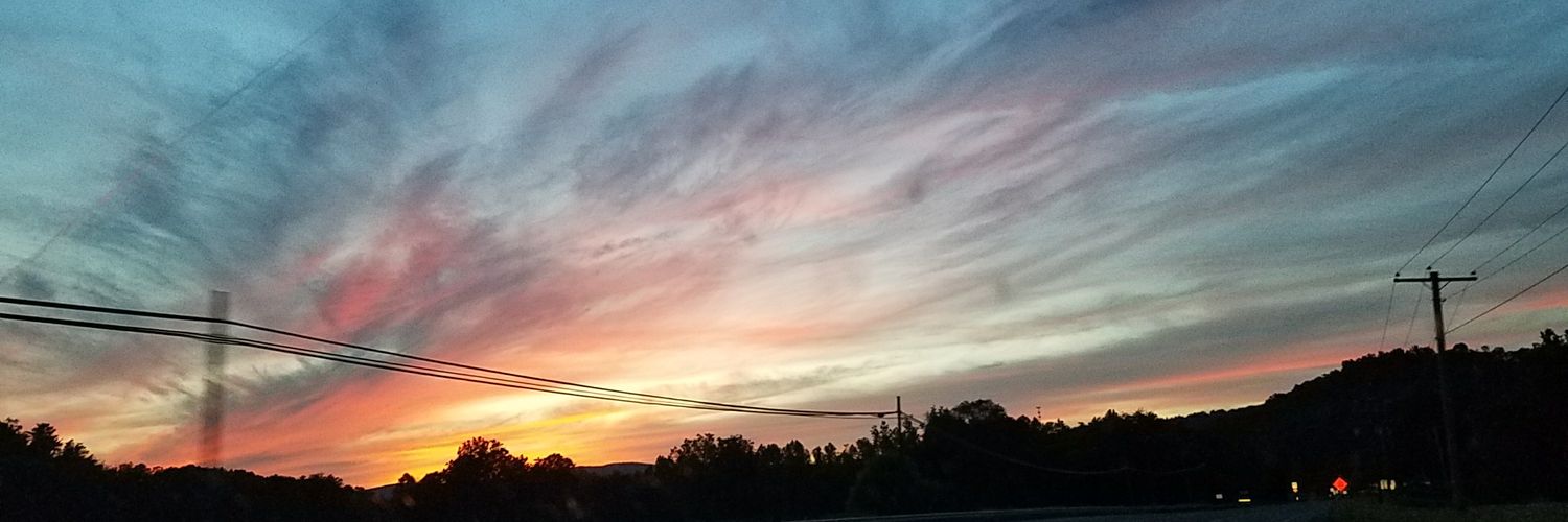 American Catboy banner