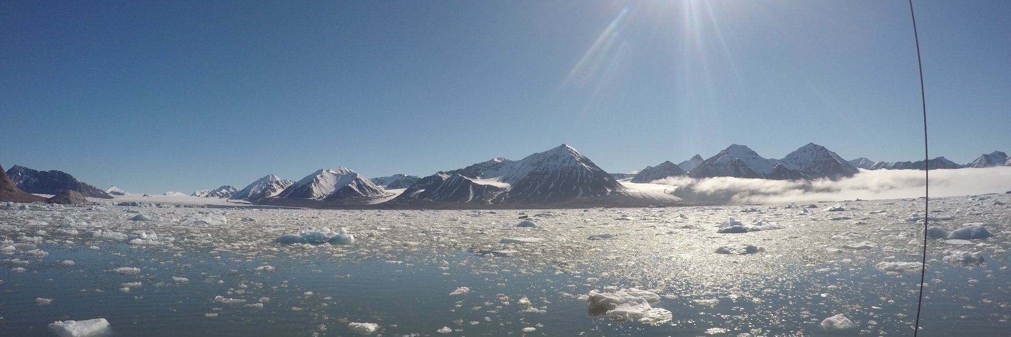 Margaret McCaul banner