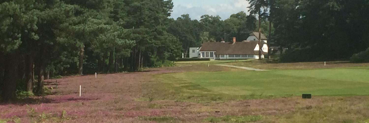 David Berkeley banner