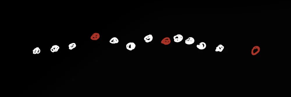 Timothy Schultz banner