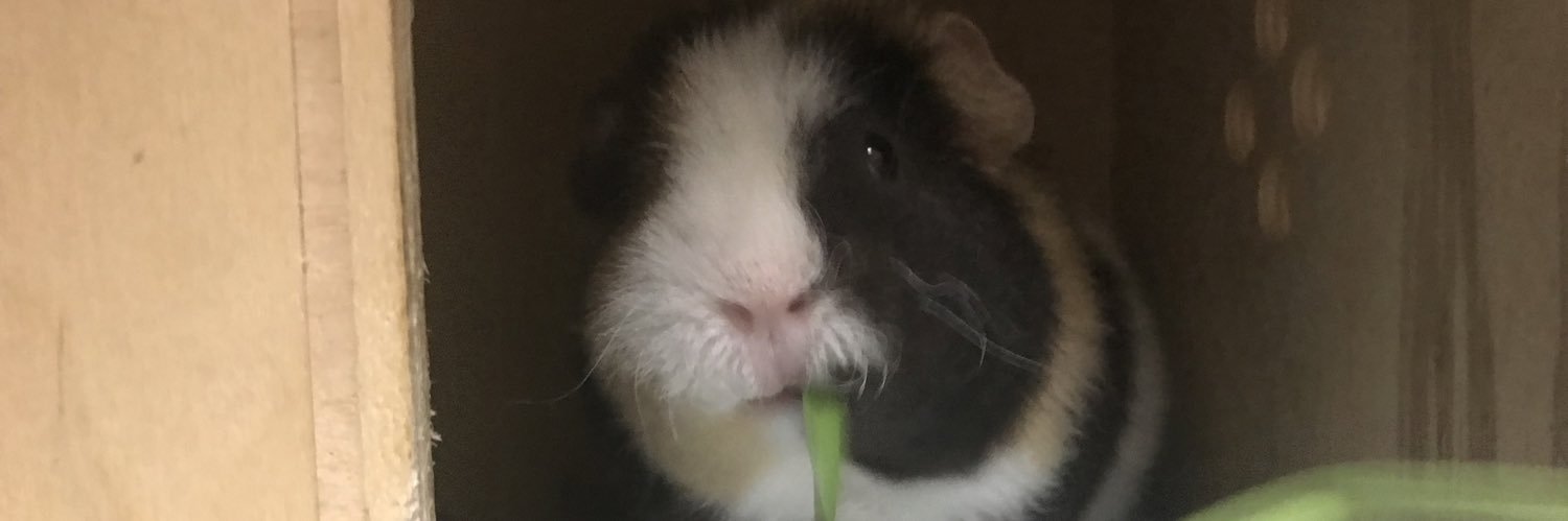 ☆6RAWTER9★ banner