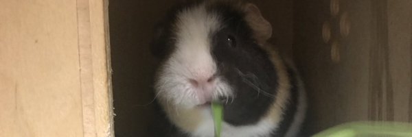 RAWTER69 Profile Banner